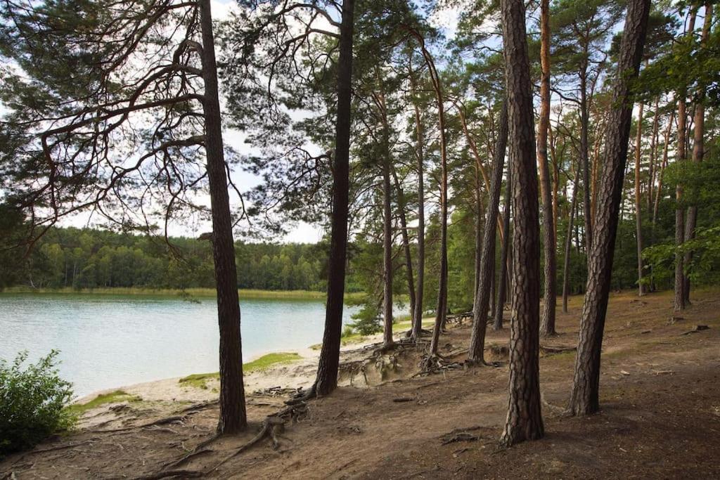 Kaminsko By Latowisko - Puszcza Zielonka Villa Bagian luar foto