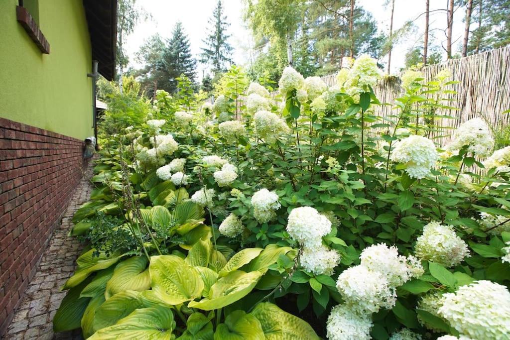 Kaminsko By Latowisko - Puszcza Zielonka Villa Bagian luar foto